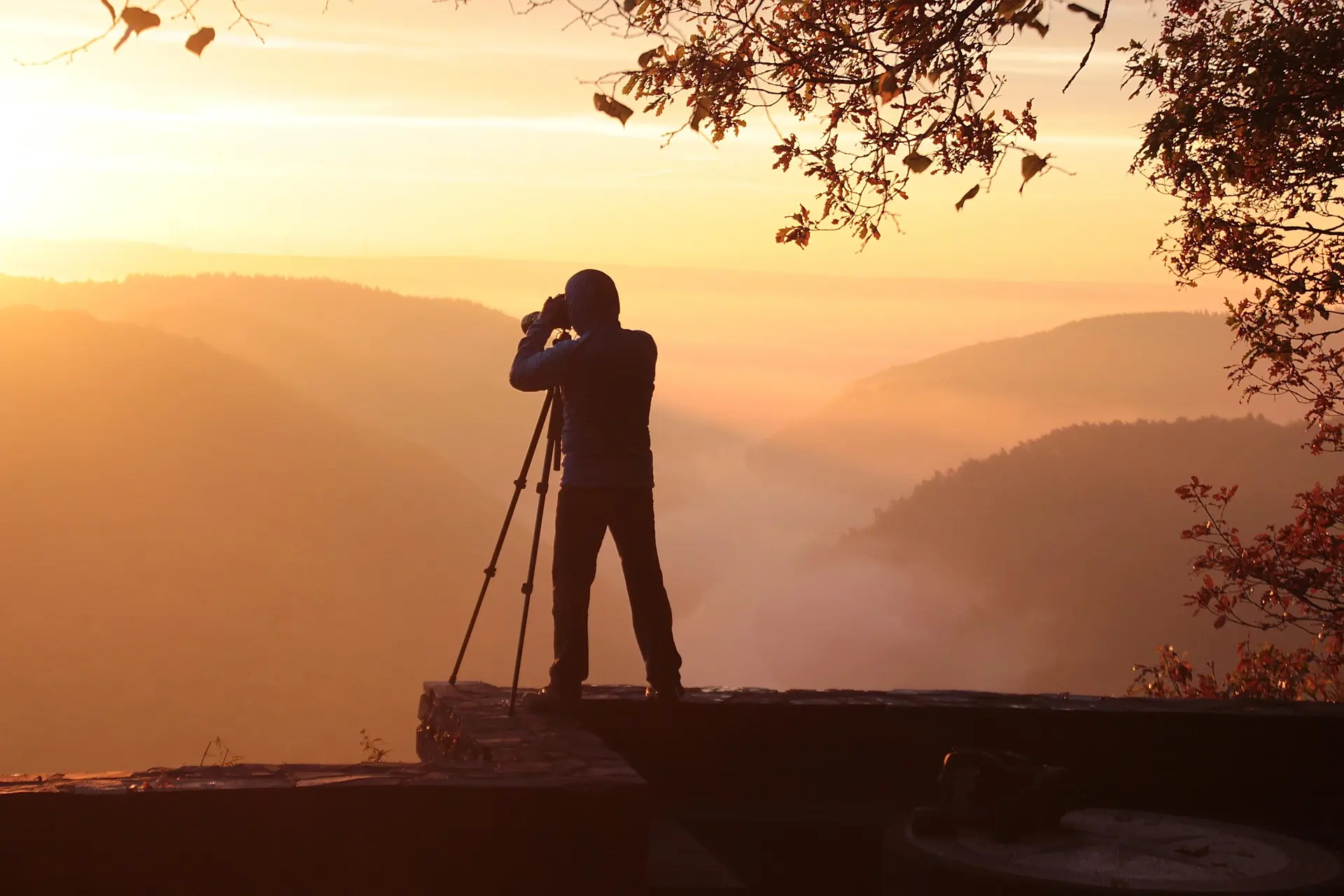 Beginner’s Guide to Photography: Camera Basics, Exposure Triangle & Composition
